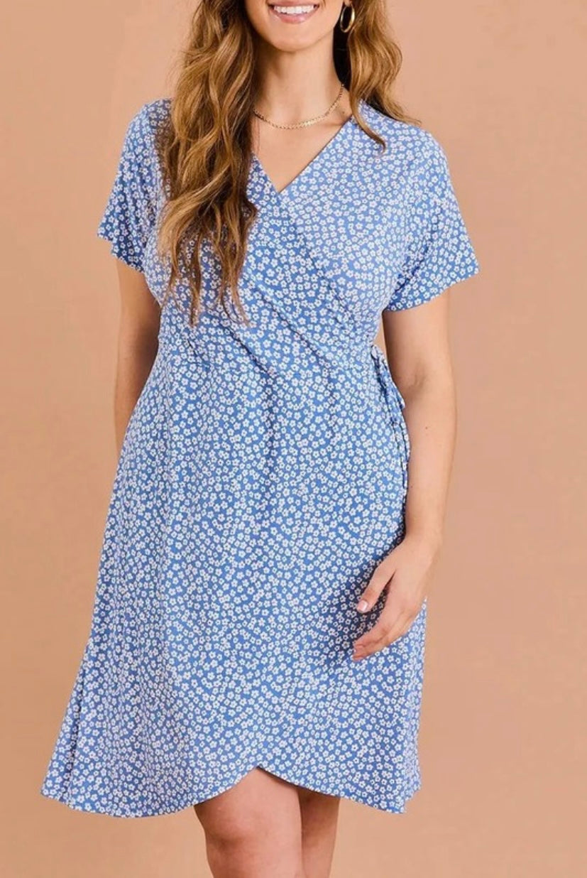 Daisy Wrap Dress PLUS